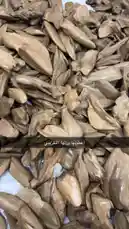 Video by @nawader.aloud44 with nawader.aloud44 by Original Sound