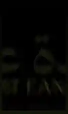 مجرد تجربة بسيطة لتوضيح موقع لذة عنب. يظهر شعار 'لذة عنب' مع عناصر مرئية مثل خريطة هاتف وعلامة تحديد المواقع، مما يشير إلى إمكانية العثور على الموقع. يُطلب من المشاهدين 'الضغط على المستشفى العام'، مما يوحي بأن هذا محتوى توجيهي أو دعوة للعمل. يركز المحتوى على المعلومات الأساسية حول الموقع، مما يلبي احتياجات المستخدمين الذين يبحثون عن معلومات عن مكان معين. by @la_ea10 with Original Sound by la_ea10
