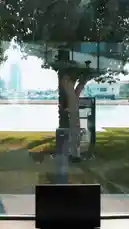 Video by @insugreen with Original Sound by insugreen