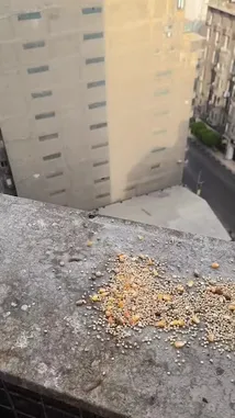 Video by @ayserbit with ayserbit by Original Sound