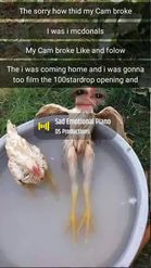 Preview for a Spotlight video that uses the chicken in bathtub Lens