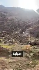 Witness a group of pilgrims in white ihram garments ascending the rocky slopes of Mount Arafat during the Hajj pilgrimage. This breathtaking footage captures their spiritual journey through rugged terrain under a bright sun, showcasing the physical effort and devotion involved in one of Islam's most significant rituals. by @y_alkhmsan with Original Sound by y_alkhmsan
