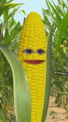 Preview for a Spotlight video that uses the Corn Head Lens
