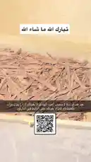This video provides a detailed look at the process of preparing and burning agarwood incense. It begins with showcasing a container of high-quality agarwood chips, followed by a demonstration of placing the chips onto a heated metal disc within a decorative burner. As the wood heats, it releases fragrant smoke, illustrating the traditional method of enjoying agarwood's rich aroma. by @nawader.aloud44 with nawader.aloud44 by Original Sound