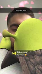 Preview for a Spotlight video that uses the Shrek Kiss Lens