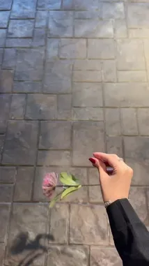 This visually captivating video presents a step-by-step showcase of a beautifully curated floral arrangement. It begins with a single, unique pink flower held against a textured stone background. The scene transitions to reveal a bouquet of soft pink roses, followed by a lush, professionally assembled centerpiece combining roses, protea, hydrangeas, lilies, and eucalyptus. The entire presentation highlights the artistry and care involved in gift-giving, emphasizing aesthetics and thoughtful composition. by @gift_arts1 with gift_arts1 by Original Sound