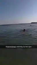 Shanny 🐳 (@umshanny) | Snapchat Stories, Spotlight & Lenses