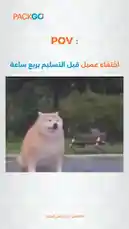 POV: قتل التسليم بريج ساعدة احتفاء عميل. #بـاك_جو | PACKGO by @packgo_sa with Original Sound by packgo_sa