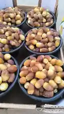 This video showcases fresh dates arranged neatly in black bowls within a cardboard box, likely for sale or presentation. The Arabic text 'Awdiyah Al-Qassim' is visible on the packaging, identifying the brand or origin. The date variety appears to be Medjool or a similar soft type, characterized by their plump, oval shape and rich brown color. The setting seems to be outdoors, possibly at a market stall or farm stand. by @qvalleys with Original Sound by qvalleys