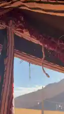 This video offers a beautiful look inside a traditional Bedouin tent, showcasing intricate textiles, cultural decorations, and a spread of local food. From the ornate patterns on the walls to the colorful dishes served on woven trays, it provides an authentic experience of a cultural gathering. by @nouf4445 with nouf4445 by Original Sound