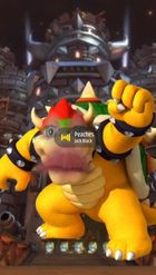 Preview for a Spotlight video that uses the Bowser Face Lens