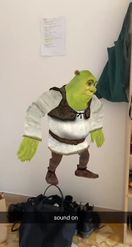 Preview for a Spotlight video that uses the Shrek HipHop Dance Lens