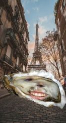 Preview for a Spotlight video that uses the Oyster in Paris Lens