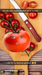 Preview for a Spotlight video that uses the Cutting tomatoes Lens