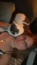 Video by @itzz.angyy with itzz.angyy by Original Sound