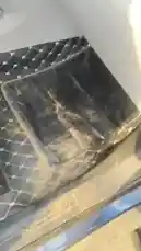 Video by @bolt.1998 with original sound
