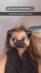 Preview for a Spotlight video that uses the Funny Pug Lens