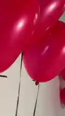 Video by @flower_2feb with flower_2feb by Original Sound