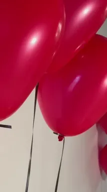 Video by @flower_2feb with flower_2feb by Original Sound