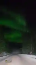 Experience a breathtaking journey through a snowy landscape under the mesmerizing glow of the aurora borealis. This immersive point-of-view footage captures the dynamic green lights dancing across the night sky as you drive along a remote road. It's a stunning display of natural beauty and a perfect example of how to witness the northern lights. by @zagvik with Joik Spirit Pulse by Mood Workshop