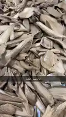 Video by @nawader.aloud44 with nawader.aloud44 by Original Sound