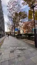 Video by @i5lom with Original Sound by i5lom