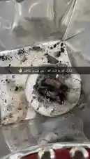 اللهم زد وبارك by @nawader.aloud44 with nawader.aloud44 by Original Sound