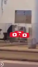 التشهير بـ #شجون_الهاجري بهذا الأسلوب وكشف وجهها غباء وعدم مهنية! هل رأينا مثل هذا في #السعودية أو دول إسلامية تحترم الستر؟ #كلنا_شجون #هدي_حسين #الكويت #ونق by @wing_sa with Original Sound by wing_sa