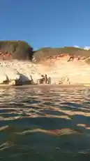 Shanny 🐳 (@umshanny) | Snapchat Stories, Spotlight & Lenses