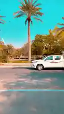 Video by @insugreen with Original Sound by insugreen