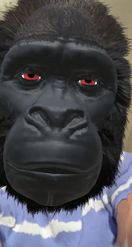 Preview for a Spotlight video that uses the Gorilla Lens