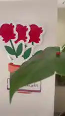 شاهد كيف تُقدّم Ruba | قرطاسية سما ⭐️ مفهوم 'الأسماء المقصورة والممدودة' بطريقة تعليمية ممتعة وسهلة الفهم. باستخدام أوراق مقطوعة على شكل أزهار في أصص، توضح الأسماء المقصورة مثل 'سما' و'مليح'، والأسماء الممدودة مثل 'مليحة' و'مليح'. يُظهر الفيديو تفاعلًا بصريًا جذابًا يساعد على التذكر، مع عرض النصوص العربية بوضوح. هذا المحتوى التعليمي مناسب للطلاب والمهتمين بتعلم اللغة العربية. by @rubaaomaar with Original Sound by Contains: Qiyam - Humood Alkhudher
