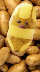 Preview for a Spotlight video that uses the Potatoes Face Lens