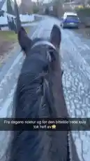 Experience a scenic horseback ride through a quiet village from a first-person perspective. The journey begins with a view over the dark mane of a horse, navigating a cracked cobblestone path. Along the way, the rider passes another person mounted on a brown horse, creating a moment of shared equestrian camaraderie. The ride continues along winding paths lined with houses and trees, offering a peaceful and immersive glimpse into rural life. by @monajohanneh with monajohanneh by Original Sound