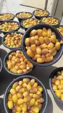 This video provides a close-up view of numerous black bowls filled with fresh, golden-brown dates, arranged neatly on a surface under bright sunlight. The camera pans slowly across the display, highlighting the texture and quality of the fruit. In the background, Arabic voices can be heard expressing admiration for the harvest, saying 'Mashallah' and praising the abundance, creating an authentic atmosphere of a bountiful agricultural yield. by @qvalleys with Original Sound by qvalleys