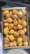 This close-up video showcases a hand holding a cardboard box filled with fresh, golden dates. The dates are plump and appear ripe, with a glossy surface under bright sunlight. In the background, stone steps suggest an outdoor setting. An Arabic voiceover expresses admiration for the quality of the dates, calling them 'excellent' and 'sweet,' and mentions they are from Al-Qassim, a region renowned for its agriculture. by @qvalleys with Original Sound by qvalleys