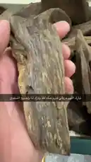 This detailed close-up showcases a piece of authentic agarwood, highlighting its intricate grain patterns and natural texture. The scene transitions to a digital scale, providing a precise weight measurement of 44.2 grams. This visual guide offers insight into the physical characteristics and quality assessment of genuine agarwood. by @nawader.aloud44 with nawader.aloud44 by Original Sound