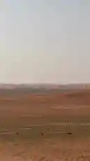 A sweeping panoramic view of the desert terrain in Saudi Arabia, showcasing endless sand dunes under a clear sky. The camera slowly pans across the arid landscape, revealing subtle details like tire tracks and sparse vegetation. This tranquil scene captures the natural beauty and expansive solitude of the region. by @azozi.5562 with ابن شايق 🧡🎻 by .