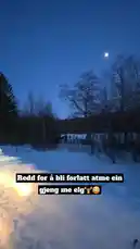 Experience a breathtaking winter wildlife encounter as Zagvik captures a herd of moose in their natural snowy habitat. Filmed during the twilight hours, the majestic animals move gracefully through the snow-covered forest, creating a serene and captivating scene. by @zagvik with zagvik by Original Sound