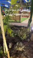 Video by @adhbalteeb with Original Sound by adhbalteeb