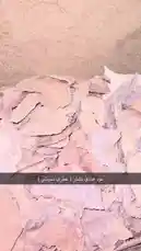 This video provides a detailed, step-by-step visual guide on preparing and burning agarwood chips, also known as oud. It begins with a close-up examination of raw, natural agarwood chips, showcasing their unique texture and color. The scene then transitions to a traditional metal incense burner where a single chip is carefully placed on a hot, circular metal disc. The video captures the process of the agarwood chip smoldering, releasing fragrant smoke, demonstrating a classic method of enjoying this prized aromatic resin. by @nawader.aloud44 with nawader.aloud44 by Original Sound