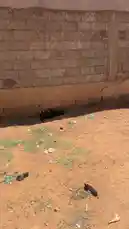 Video by @hamed_aldaban with خلوني by 😂😭🤚🏻