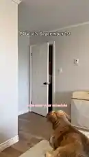 Morgan Veraa (@morganveraaxo) Snapchat Stories, Spotlight & Lenses