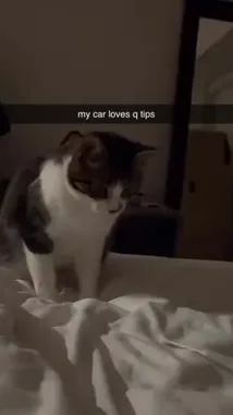 Nemo (@akanemsko) Snapchat Stories, Spotlight & Lenses