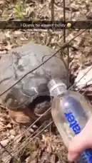 Video by @rs4_6h with Original Sound by rs4_6h