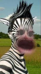 Preview for a Spotlight video that uses the zebra makeup Lens