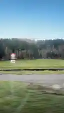 Video by @ilieshap with Original Sound by ilieshap