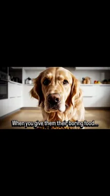 A Golden Retriever looks unimpressed by its kibble, humorously illustrating the common pet parent struggle. A hand then introduces the 'OnlyTails™' app, promising to simplify pet parenting. The video concludes with the official 'OnlyTails.' logo and a 'Stay tuned. We're launching soon!' message, building anticipation for the new pet care platform. by @onlytails with Original Sound by onlytails