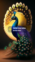 Preview for a Spotlight video that uses the Peacock India Lens