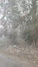 #pau by @guptaji_47 with guptaji_47 by Original Sound